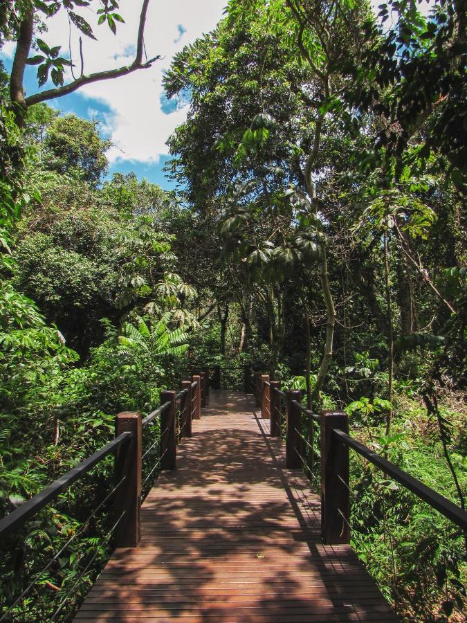 بويرتو إجوازو Selvaje Lodge Iguazu المظهر الخارجي الصورة